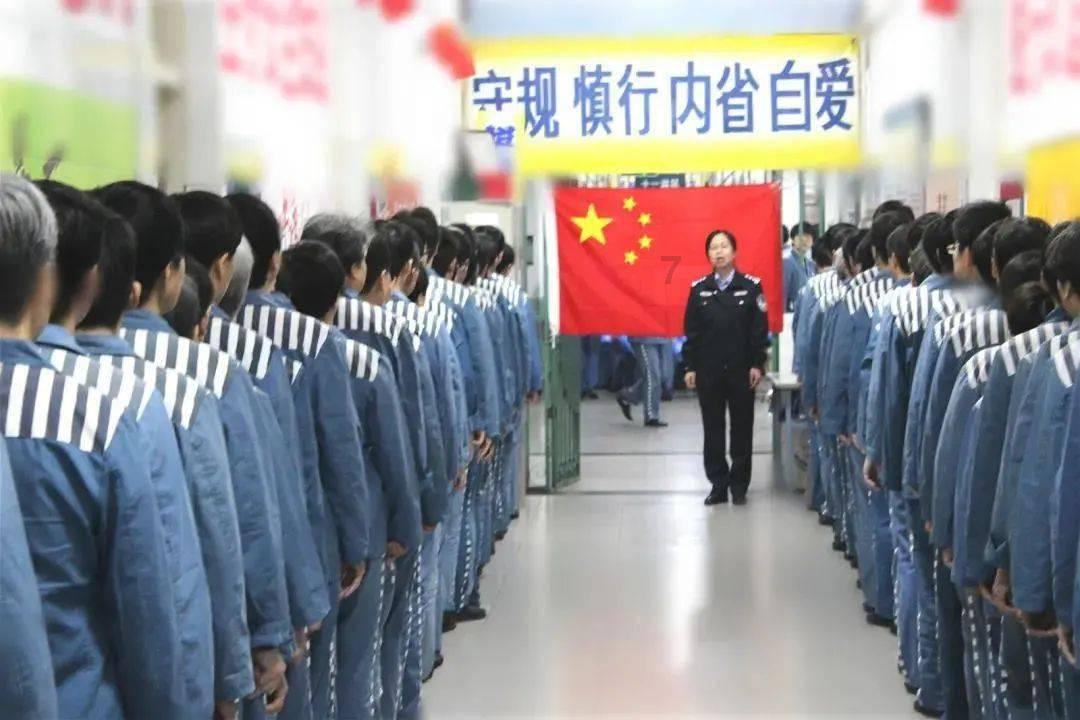 植物大战僵尸8